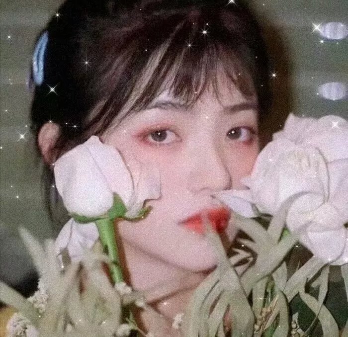 我们是一群小鸟